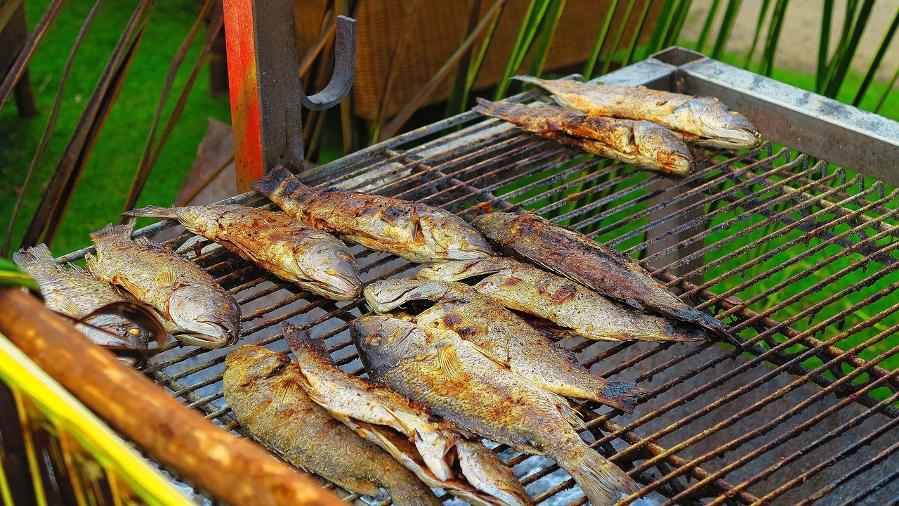 单身狗健康晚餐食谱单身狗的晚餐  第1张